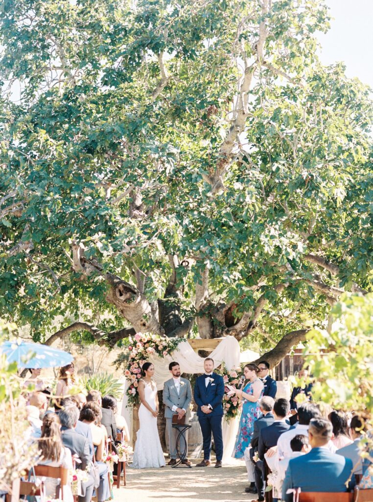 Bride and groom get married beneath historic tree at luxurious jewish wedding at San Luis Obispo Wedding Venue Higuera Ranch photographed by Fine Art Film Photographer Tina Loveridge of Loveridge Photography